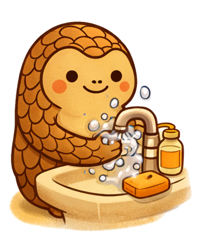 Modul 2: Hygiene & WC